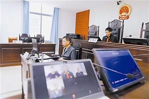 河南内乡县法院：在线化纠纷 助企解难题