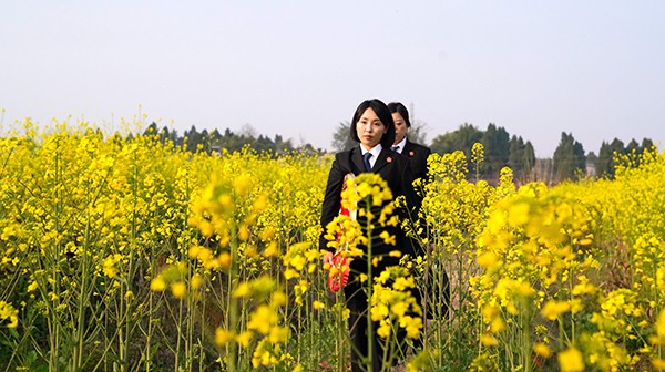 春风十里