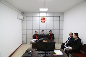 “云端”审理“民告官”案 行政机关负责人出庭应诉