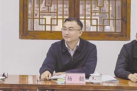杨懿代表：深刻领悟党的二十大报告中的法治元素