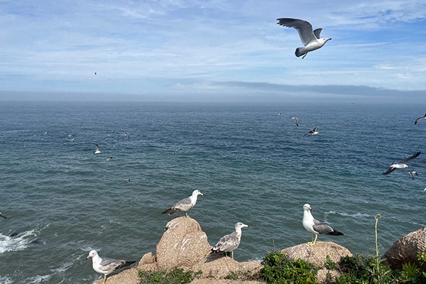 海阔天空