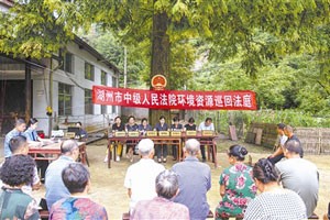 湖州中院：巡回法庭进林区