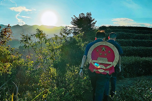 金秋十月 法润茶山