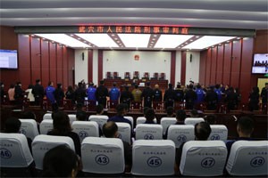 原安庆市宜秀区水利局水利工程所所长程世峰受贿案一审公开宣判
