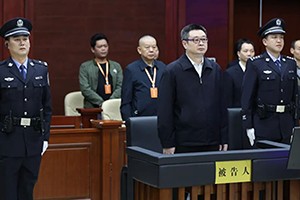 云南大象表演公益诉讼案一审宣判