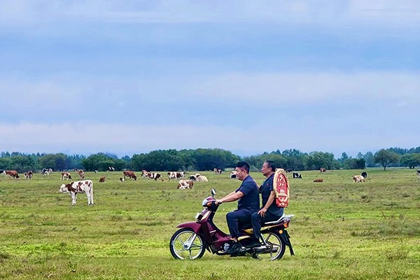 巡回乡野间