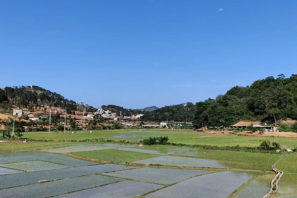 水陌青田