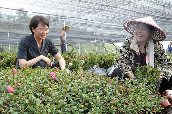 办案花圃间