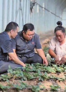 “田字取蒜”巧解蒜地受损案