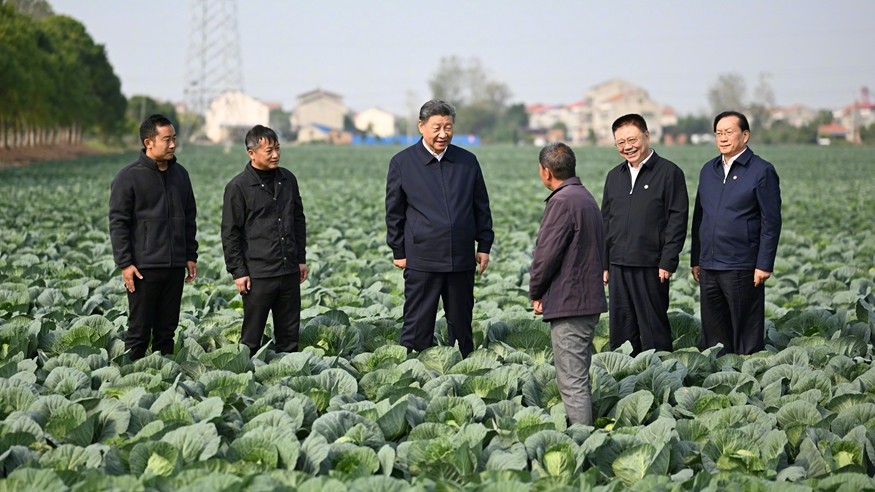 习近平在湖北考察调研